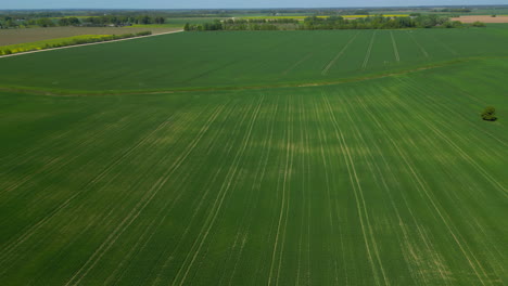 Die-Ausladende-Drohne-Schwebt-über-Dem-üppigen,-Grünen-Ackerland-Und-Gibt-Den-Blick-Auf-Ein-Atemberaubendes-Panorama-Frei