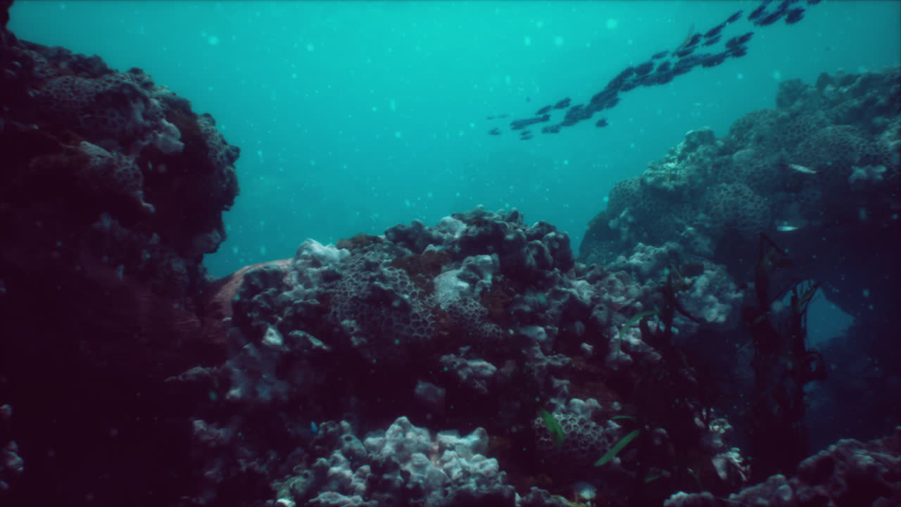 Escena de arrecife de coral submarino