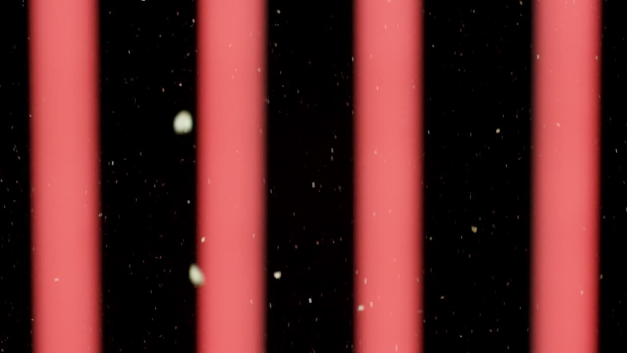 은 수직선에 맞춰 떨어지는 향신료