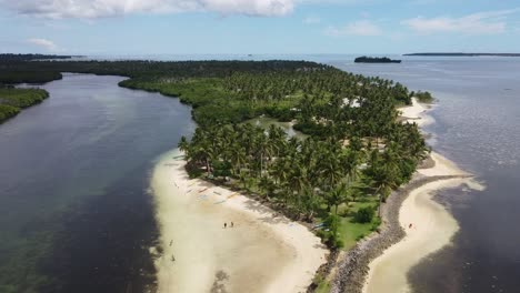 algas marinas en la playa de doot y manglares fluviales en marea baja en la isla de siargao, filipinas