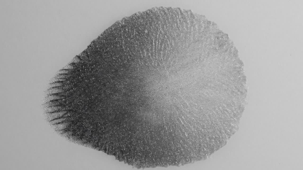 This is a universal finger print - it changes and will soon match any fingerprint