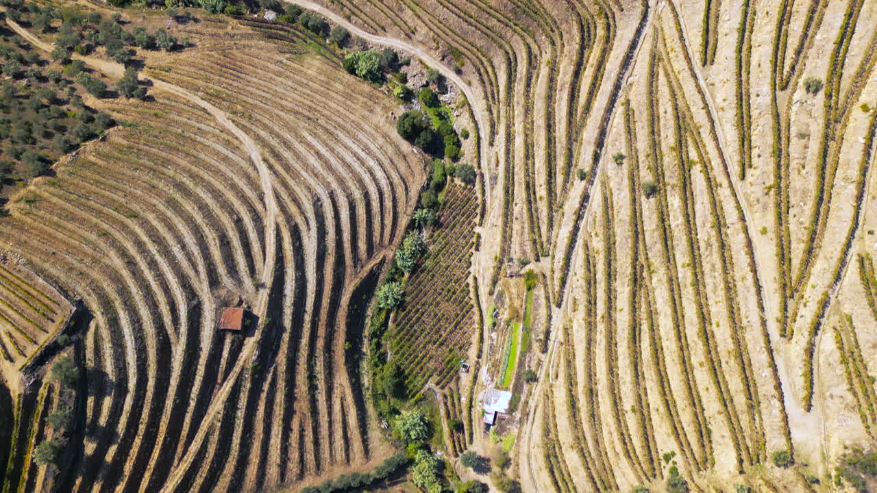 una vista panorámica de las laderas del douro