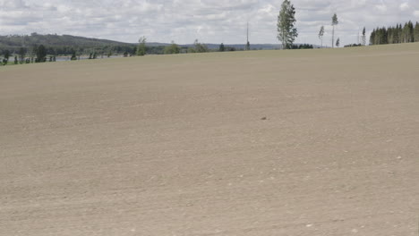 aerial 8 week timelapse of crops growing from a ploughed field