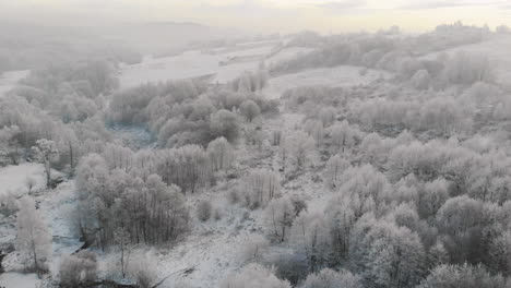 misty morning, snowy hill, frost covered trees, breathtaking aerial panorama