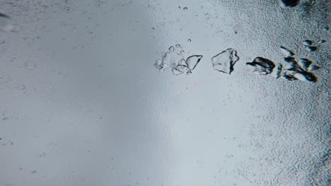 Las-Burbujas-De-Aire-Suben-A-La-Superficie-Del-Agua-En-Medio-De-Una-Lluvia.