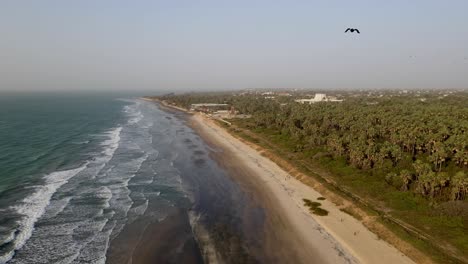 perseguido por pájaros mientras volaba un avión no tripulado sobre la costa sonriente de áfrica, gambia