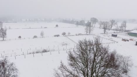 Vista-Aérea-De-Una-Granja-Nevada-Con-Caballos-En-El-Norte-De-Alemania.