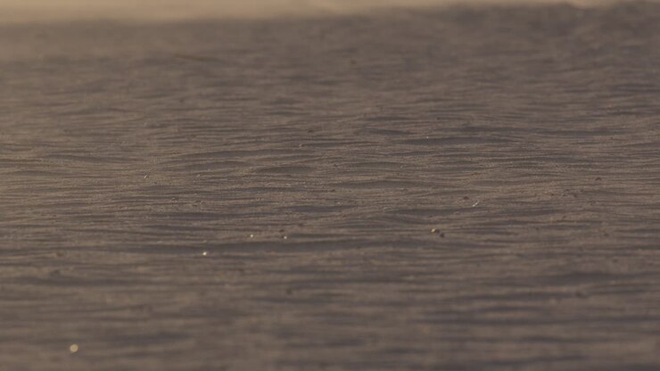 Wind-blown Snow Surface