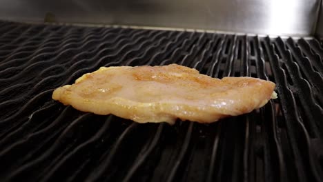 chicken fillet put on grill - close up