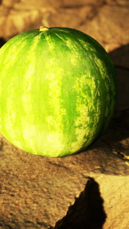 fresh watermelon