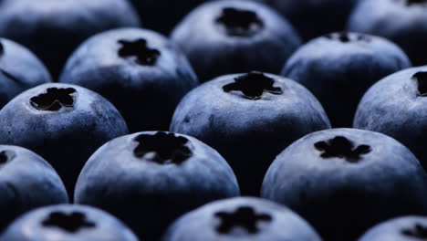 cerca de los arándanos. alimentos orgánicos y saludables