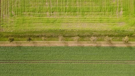 agricultures lines