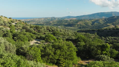 among the trees of the hills of a calabrian hinterland countryside near the sea