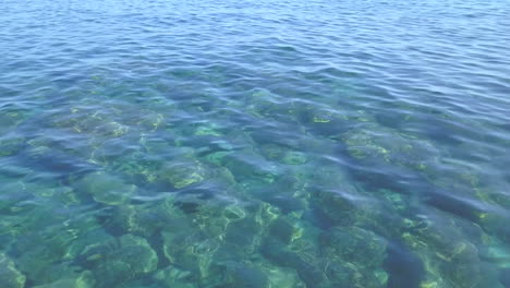 exotic clear transparent sea bed waves in sunny day aerial view