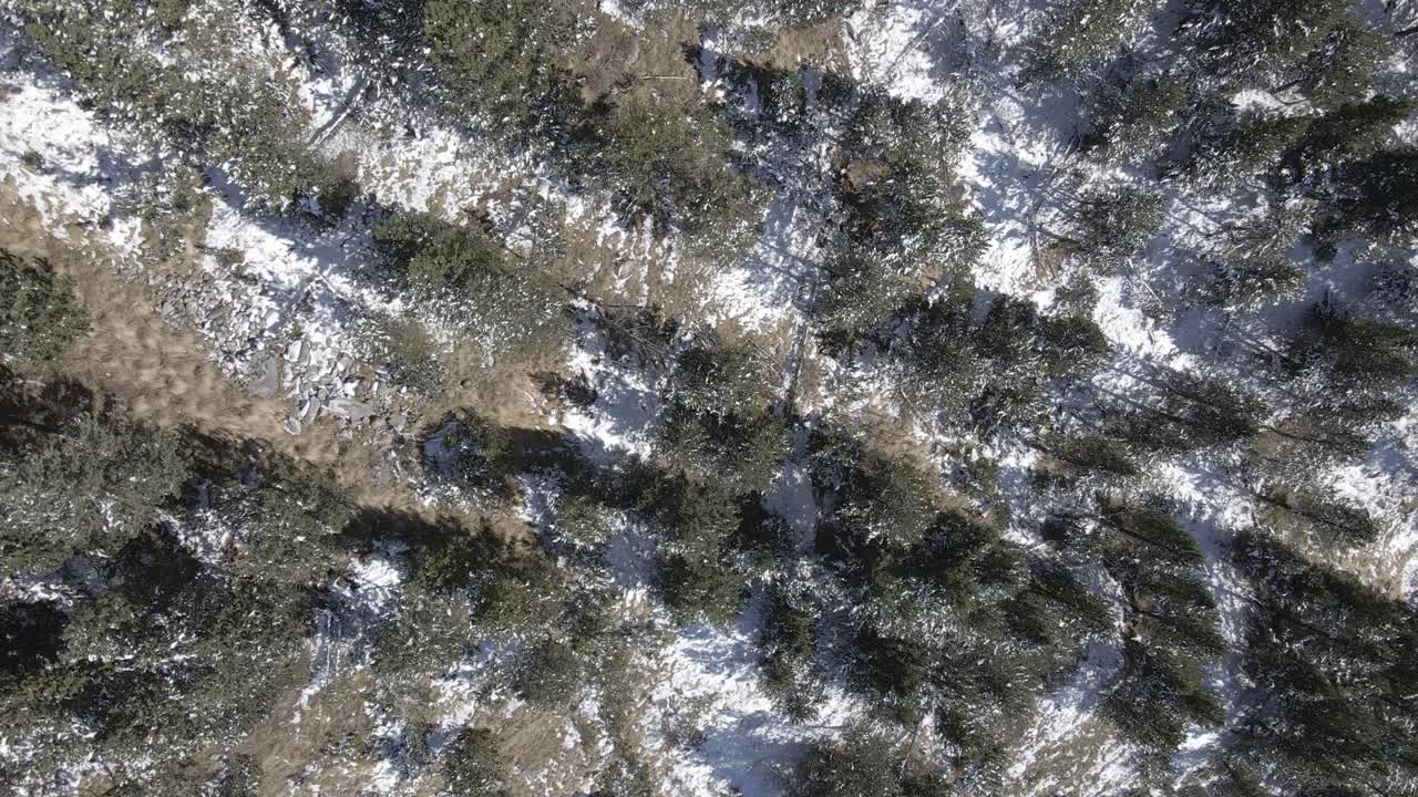 vista cenital desde un bosque nevado