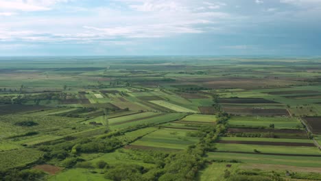 Antena:-Cultivos-Que-Crecen-En-El-Campo-Serbio-Remoto,-Paisaje-De-Tierras-De-Cultivo-Plano