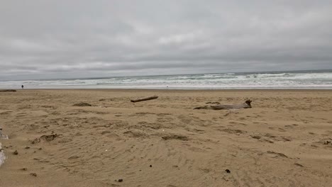 person walks the beach on a gloomy day