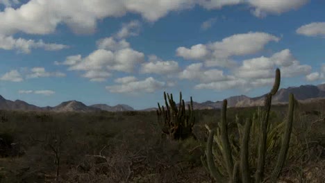 baja desierto 06