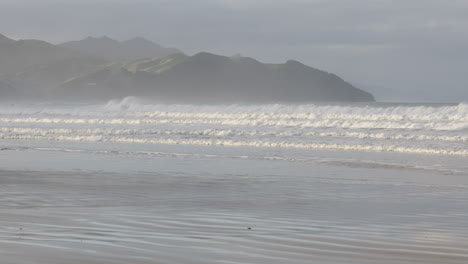 wide shot of very strong waves in caste point beach, new zealand