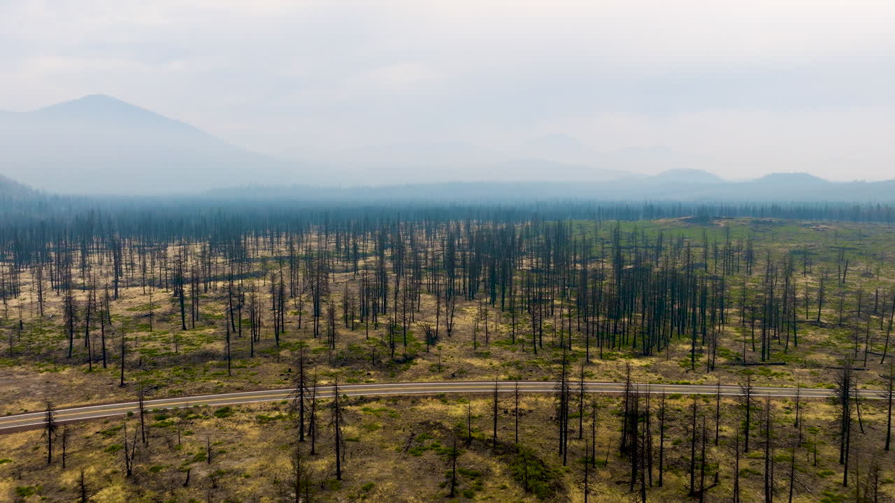 Aerial view of a vast burnt forest with a road traversing through, showing the desolate aftermath of a wildfire under a hazy sky