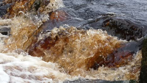 serene autumn-winter woodland scene, a gentle stream meanders over rocks, forming small waterfalls