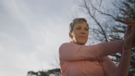 Ältere-Frau-Im-Freien-Yoga-Fitness