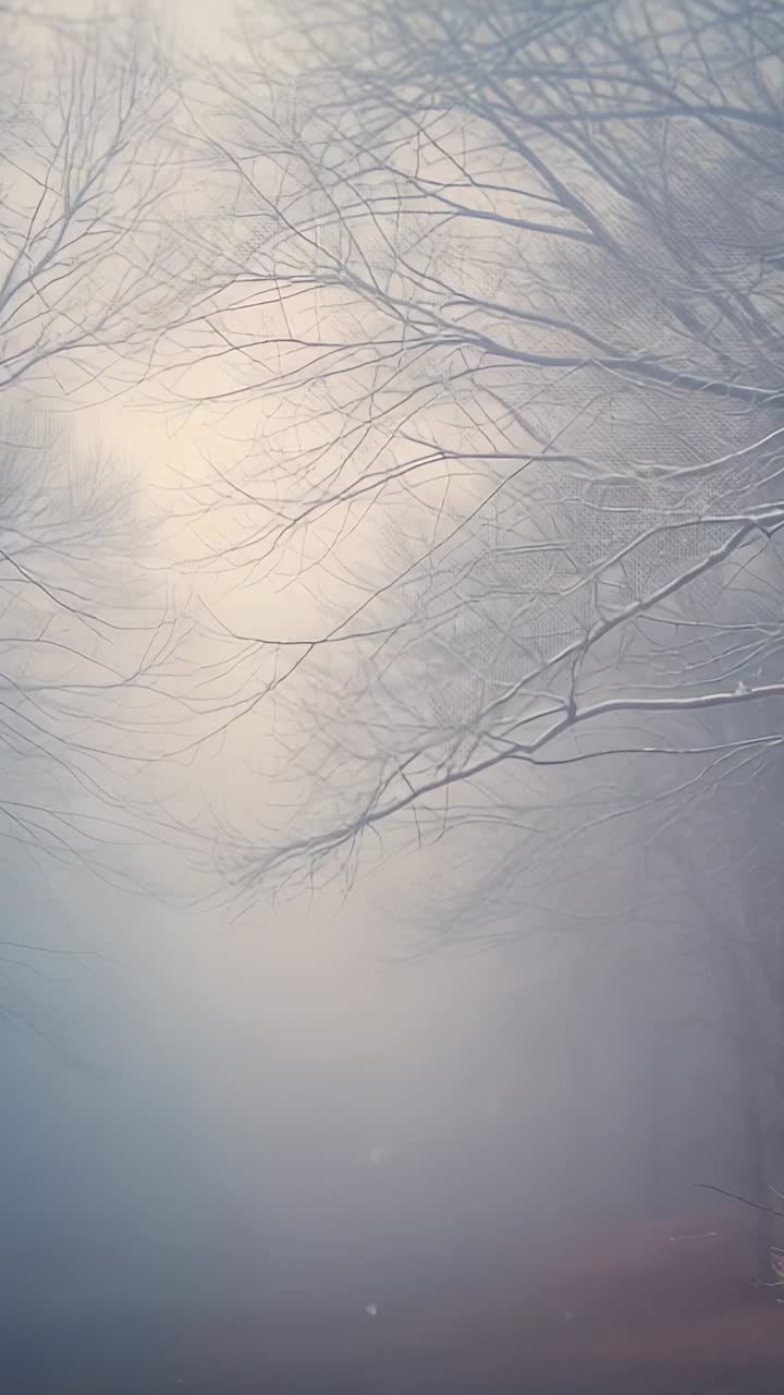 Vertical video: Framing leafless snowy branches drifting as fog shifting in woods with falling snow