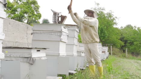 Der-Imker-Entfernt-Die-Wabe-Aus-Dem-Bienenstock.