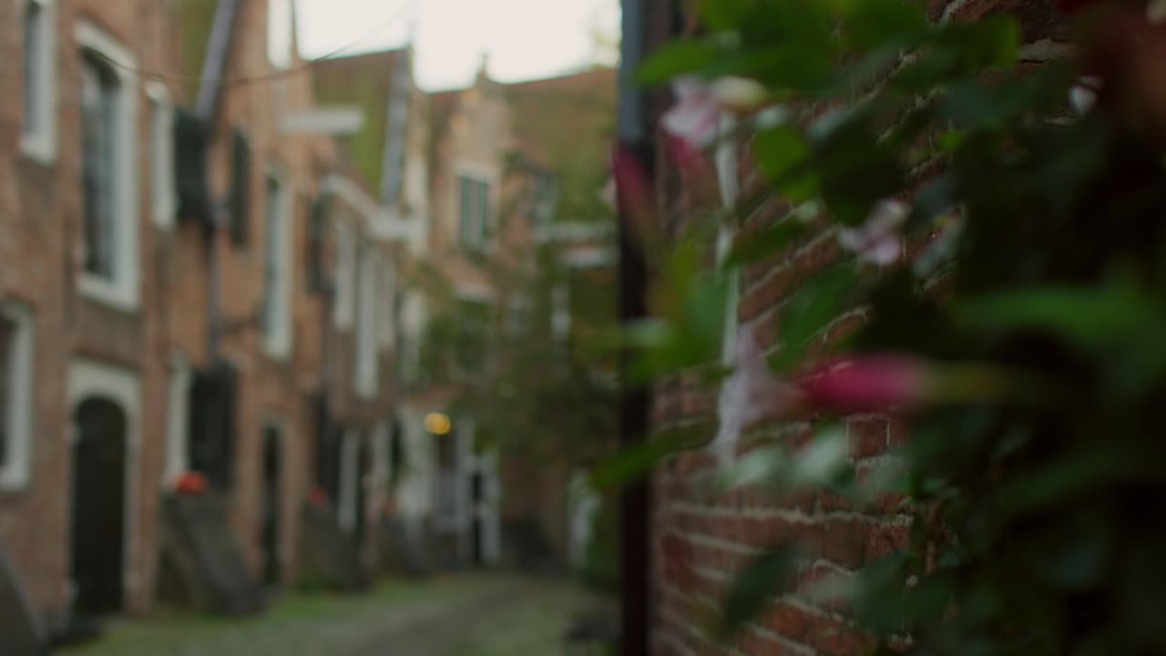 A focus pull from a flower to the historical street and gate Kuiperspoort in Middelburg
