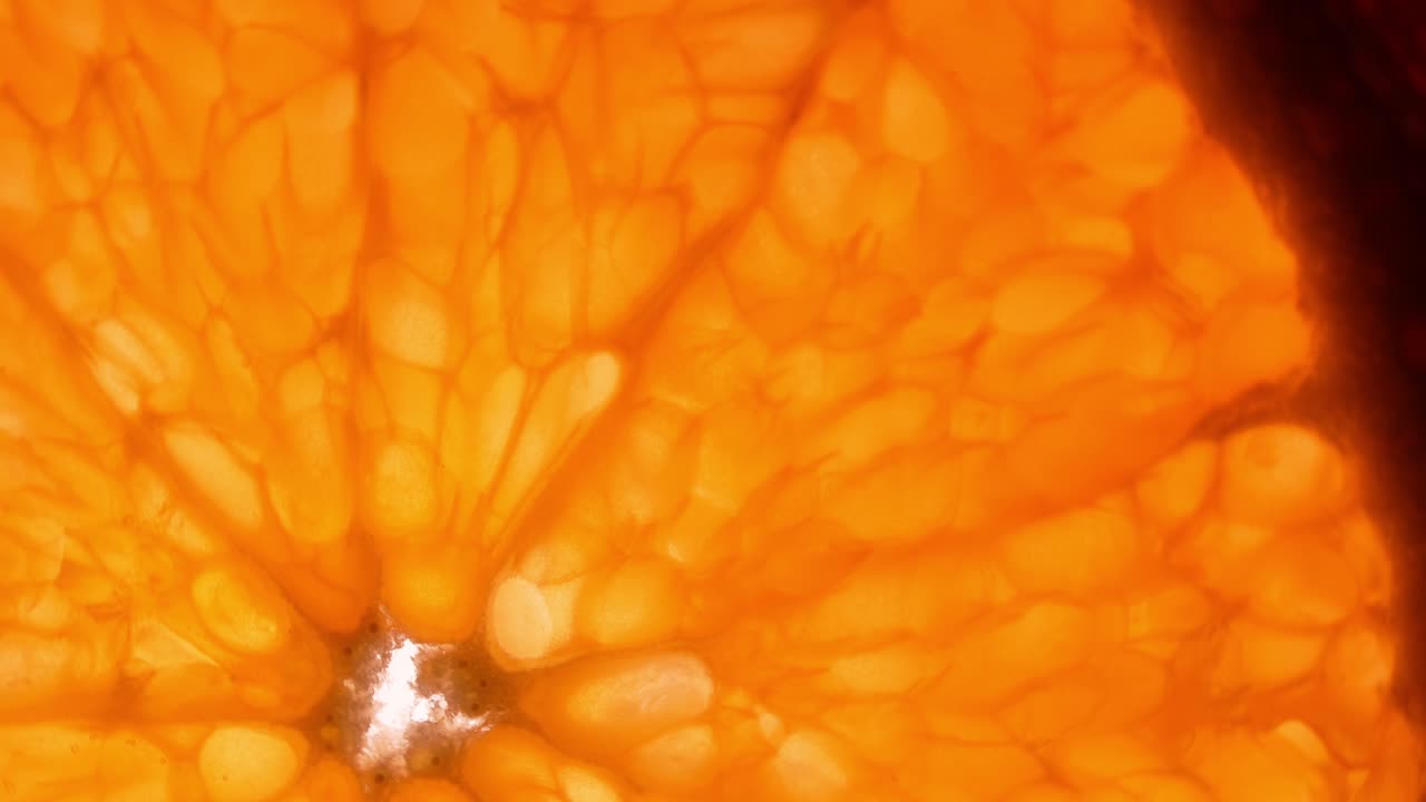 색 배경에 오렌지 슬라이스를 회전시키고, 투명한 오렌지 스라이스 추상적인 배경을 클로즈업합니다.