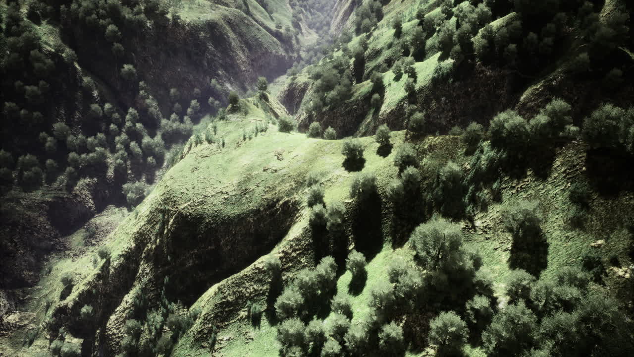 Majestic greenery sprawls across rolling hills of an untouched valley