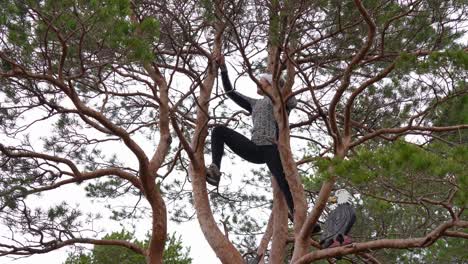 young woman in athletic clothing playfully climbs tree in forest