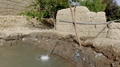 traditional irrigation method