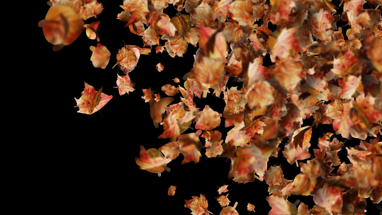 Falling Autumn Leaves Backround Loop with Alpha Transparency