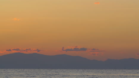 cinemagraph - sea gull in evening sky