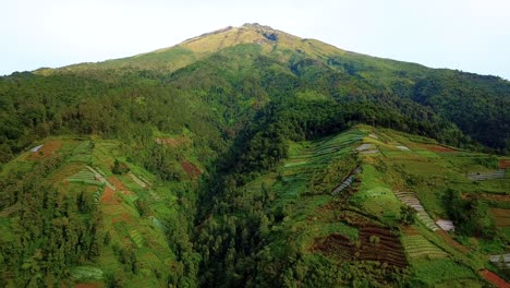 Imágenes-De-Drones-De-Montaña-Con-Plantación-De-Vegetales-Y-Bosque-En-La-Ladera---Monte-Sumbing,-Indonesia