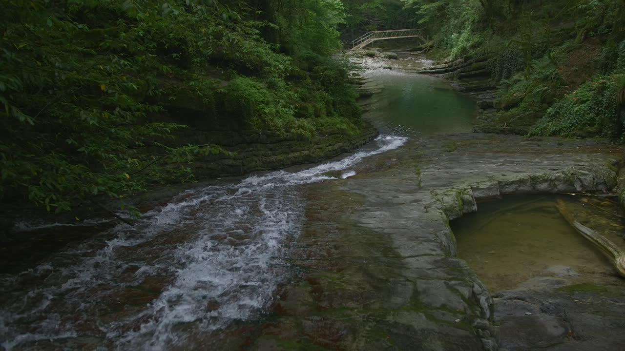 pintoresco arroyo forestal con cascada y puente