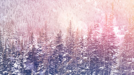 Spots-of-light-against-snow-falling-over-multiple-trees-on-winter-landscape