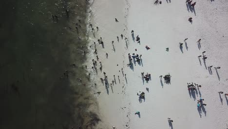 더운 여름 화창한 날 바다에서 수영을 즐기는 관광객, 케냐 와타무 해변 - 공중 하향식 전망