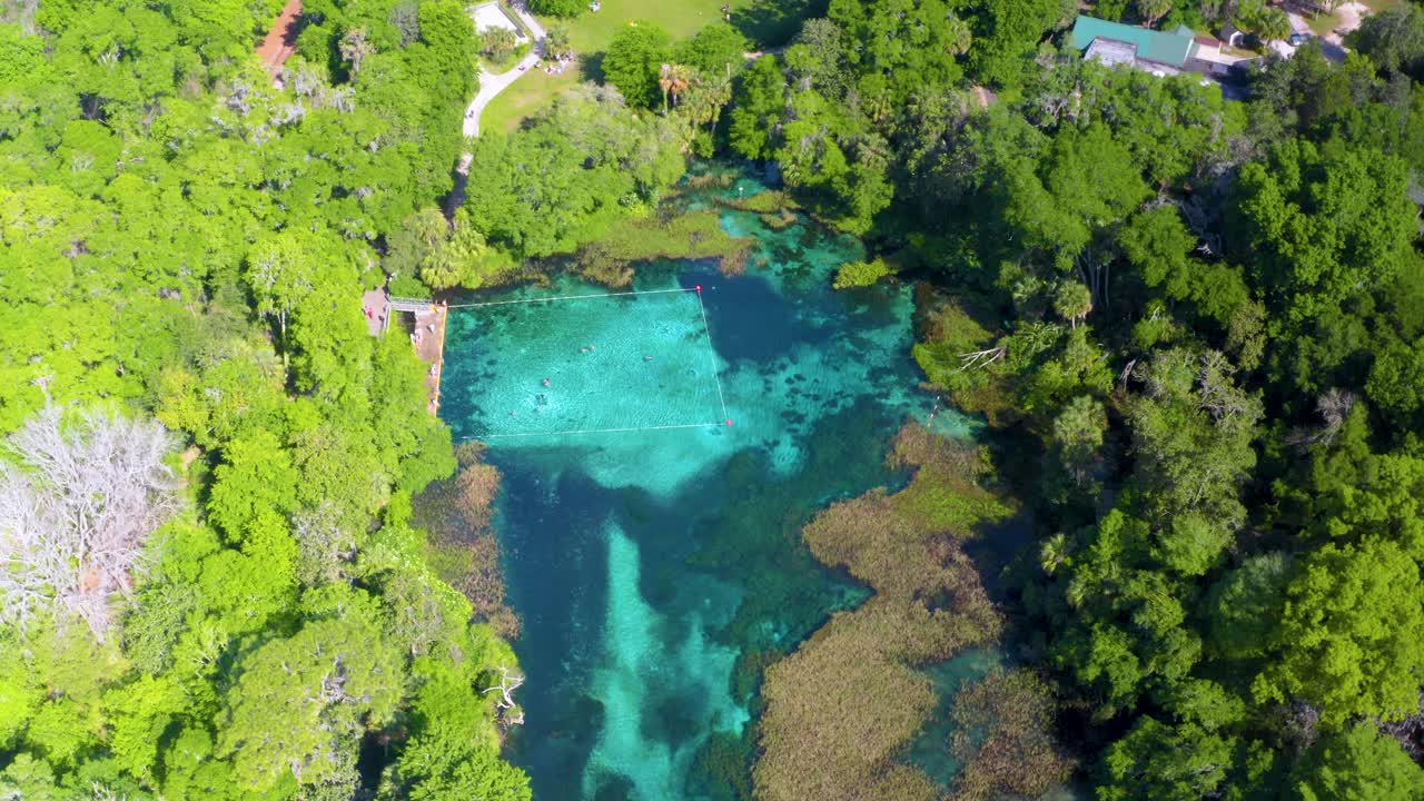 Ripresa aerea che ruota attorno al Rainbow Springs State Park con un fiume sottostante.