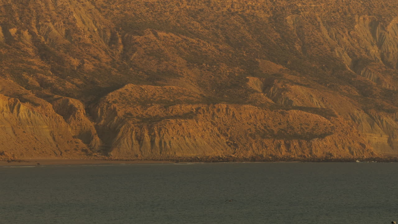 Coastal Mountain Scenery with Seagull