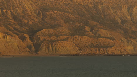 coastal mountain scenery with seagull