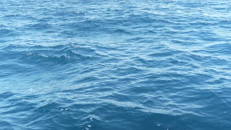 ocean waves in daytime, a mesmerizing display of natural beauty