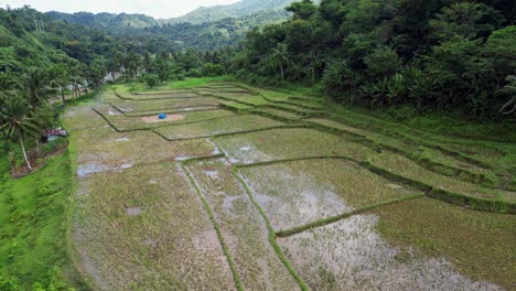 Incredible-terraced-fields-of-rice-and-water-reflect-sky-and-clouds,-tropical-aerial