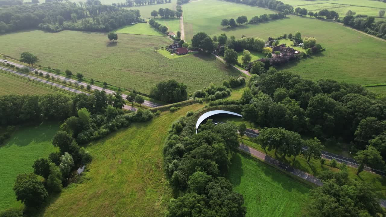 Road traversed by wildlife crossing forming a safe natural corridor bridge for animals to migrate between conservancy areas. Environment nature reserve infrastructure eco passage.