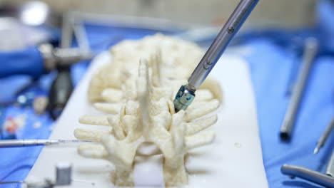 metal instrument fastens a special medical screw in the dummy of spine. educator demonstrates tool and materials for neurosurgery. close up.
