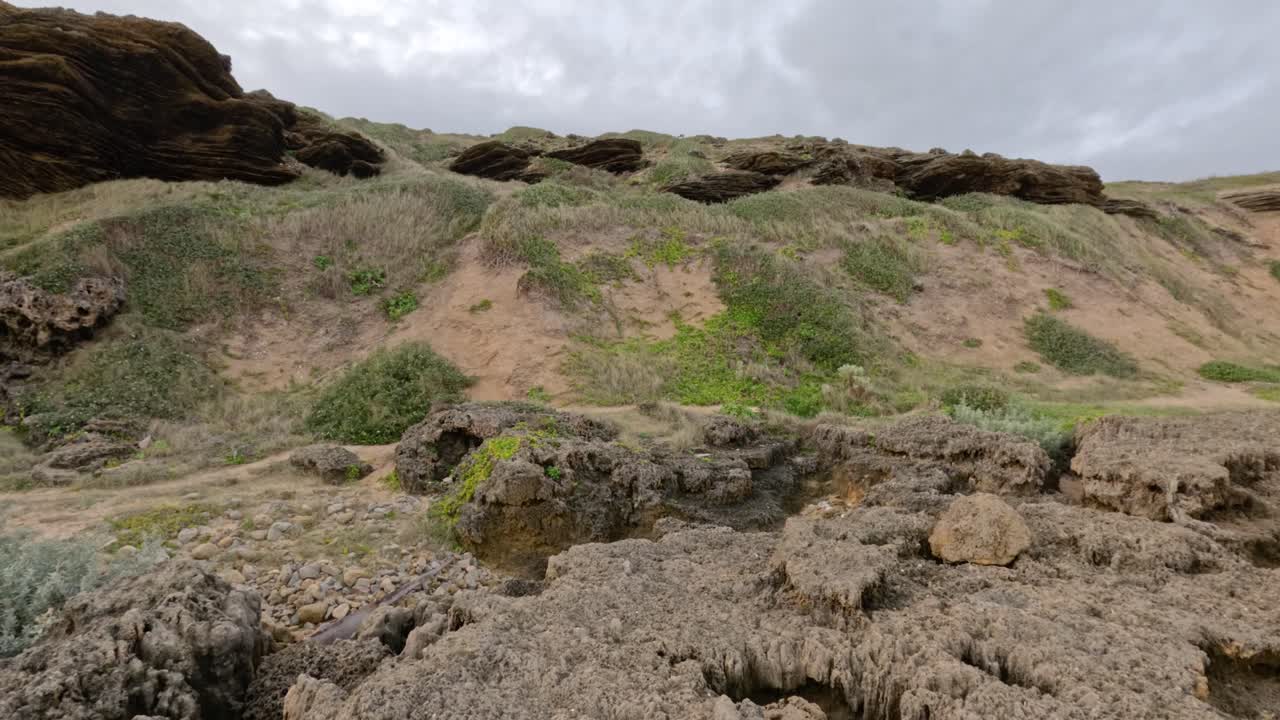 costa rocosa con erosión visible y vida vegetal