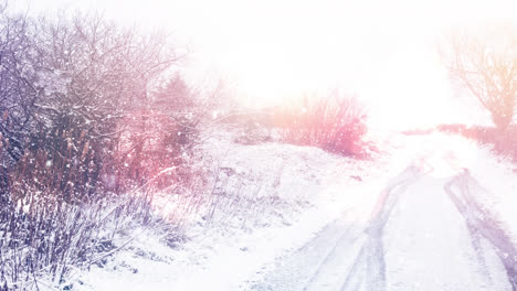 Animation-of-spots-of-light-over-snow-falling-and-winter-landscape