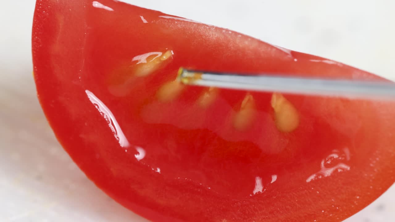 Macro video showing a tool examining cherry tomato seeds, highlighting texture and detail in a scientific setting