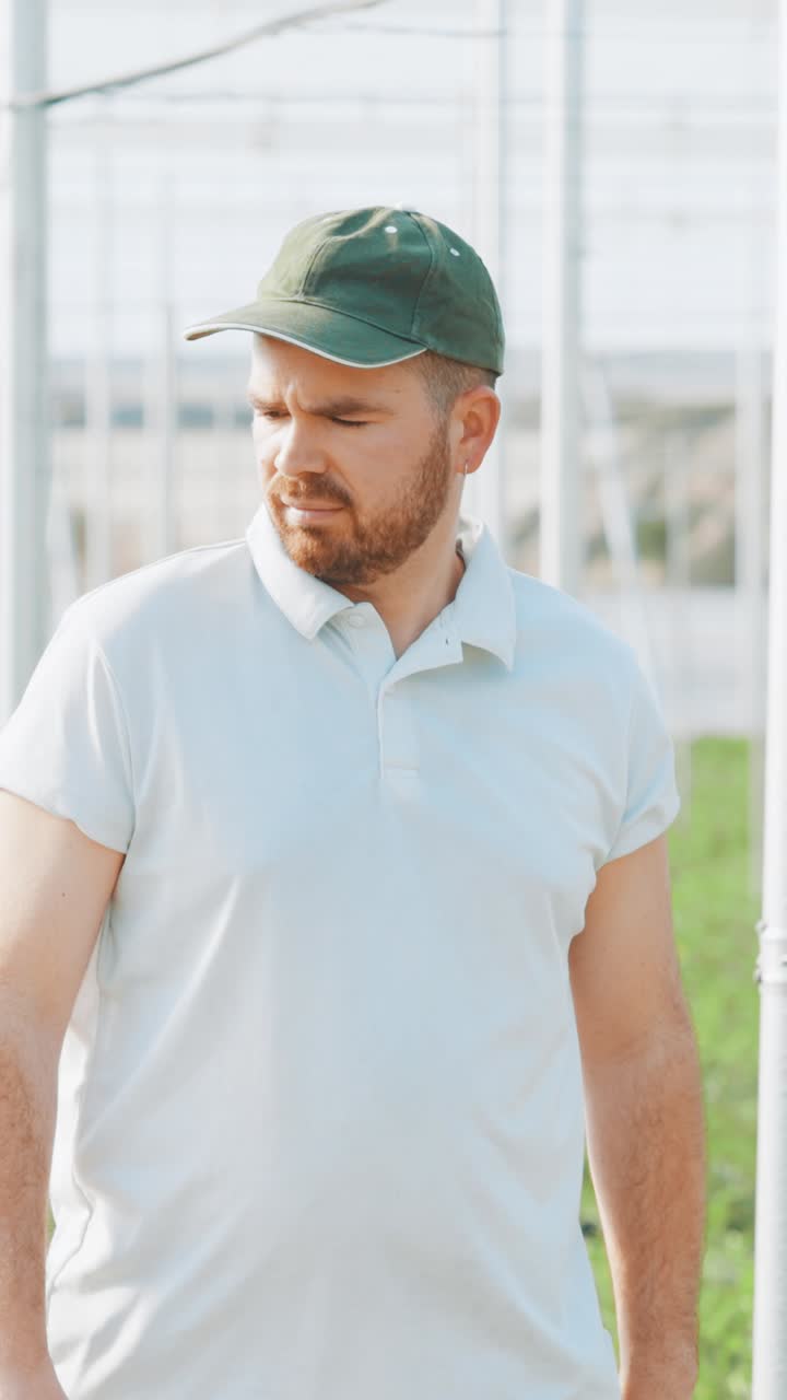 Farmer inspecting watermelon greenhouse: multiple shots